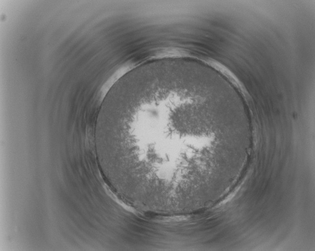 X0000078241337200611251229