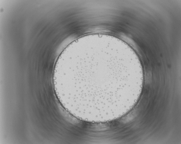 X0000078241338200611251229