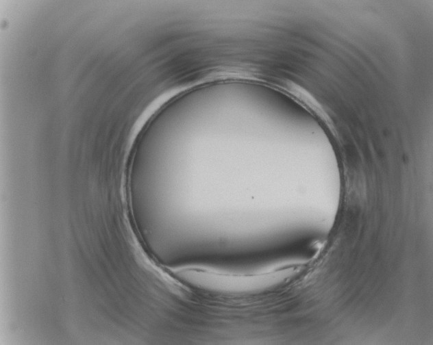 X0000078241339200611251229