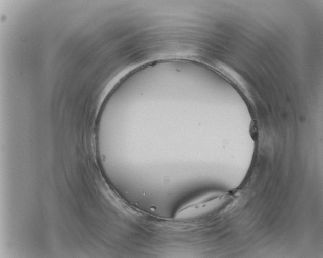 X0000078241340200611251229