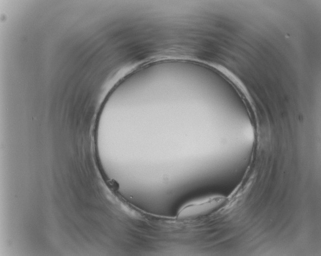 X0000078241341200611251229