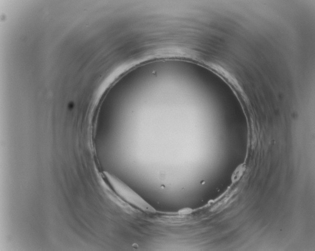 X0000078241342200611251229