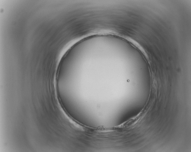 X0000078241343200611251229