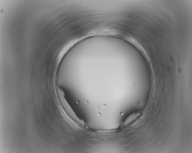 X0000078241344200611251229