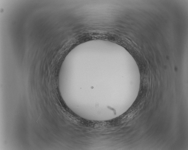 X0000078241345200611251229