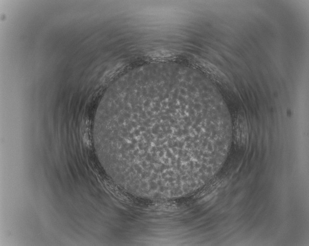 X0000078241346200611251229