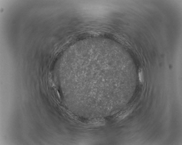 X0000078241347200611251229