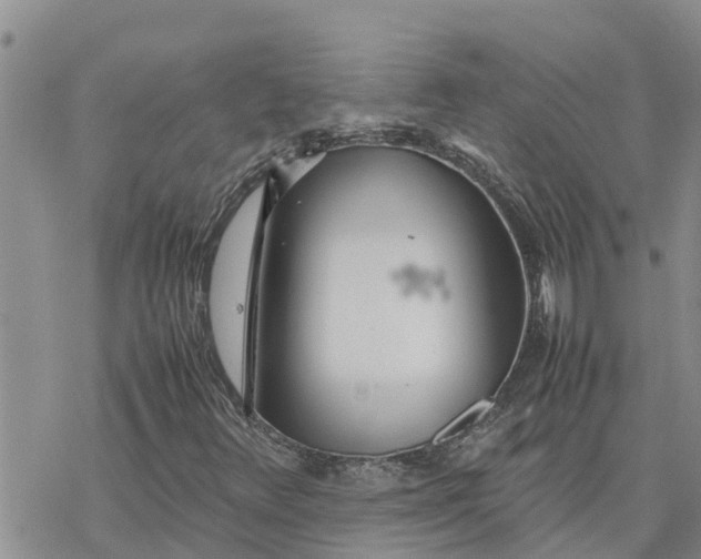 X0000078241348200611251228