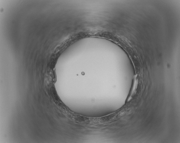 X0000078241349200611251228