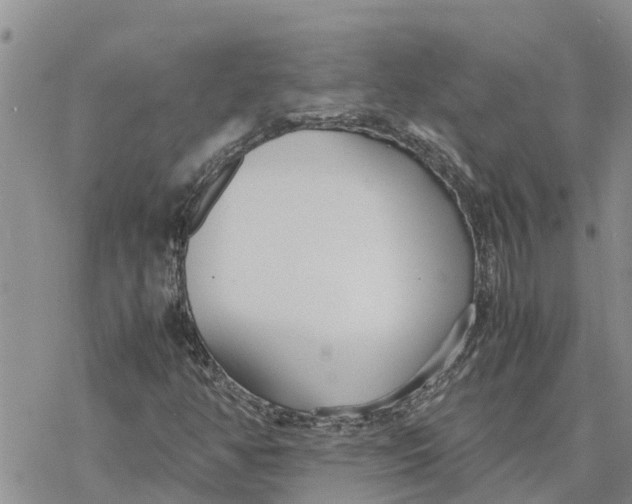 X0000078241350200611251228