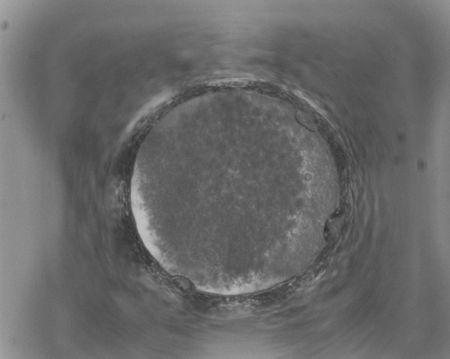 X0000078241351200611251228