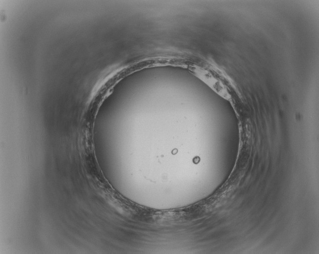 X0000078241352200611251228