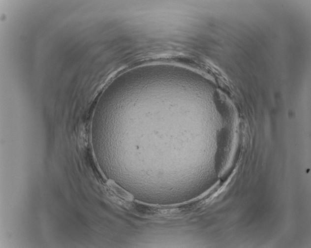 X0000078241353200611251228