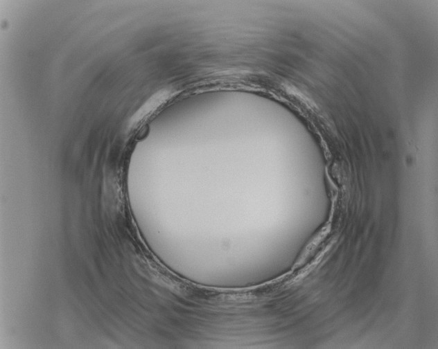 X0000078241354200611251228