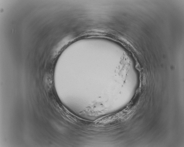 X0000078241355200611251228