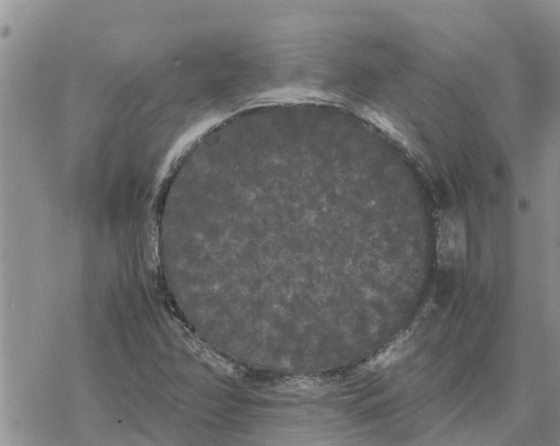 X0000078241358200611251228