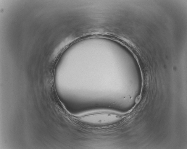 X0000078241359200611251228