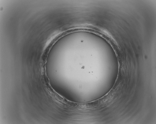 X0000078241360200611251228