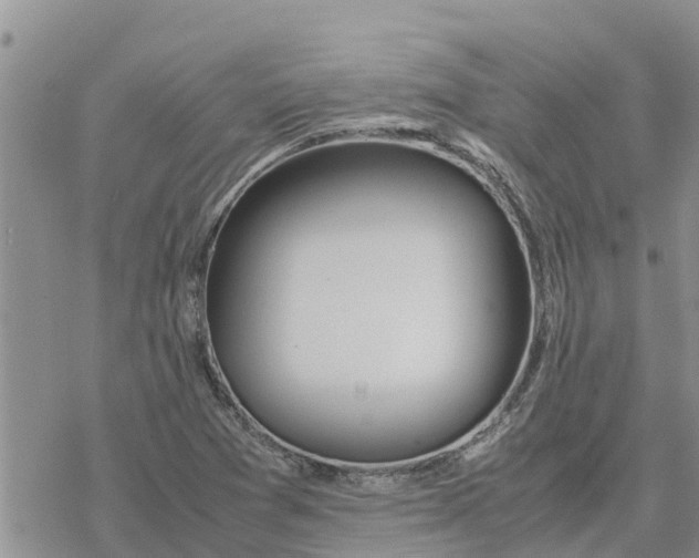 X0000078241361200611251228