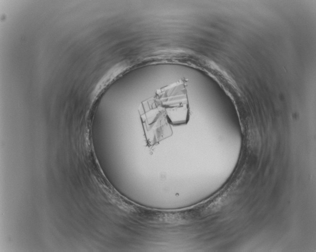 X0000078241362200611251228