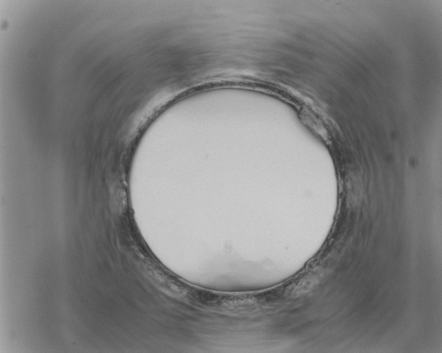 X0000078241363200611251228