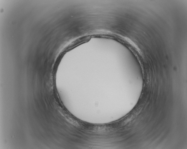 X0000078241364200611251228