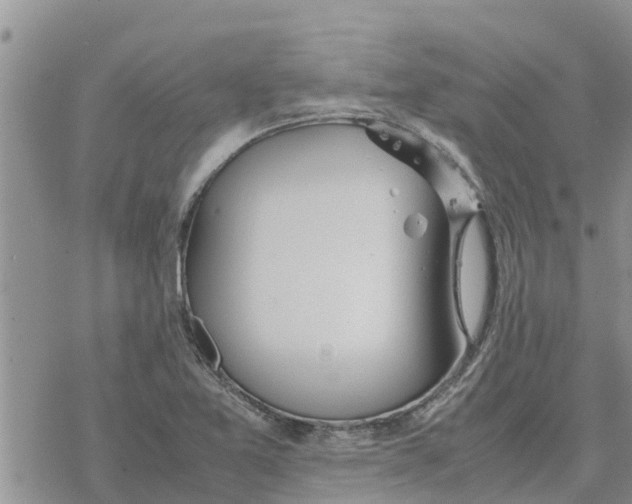 X0000078241365200611251228