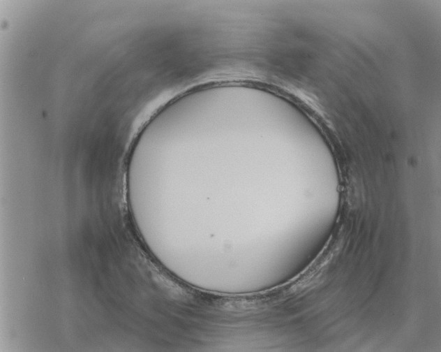 X0000078241366200611251228