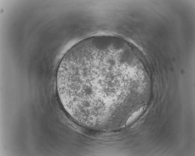 X0000078241367200611251228