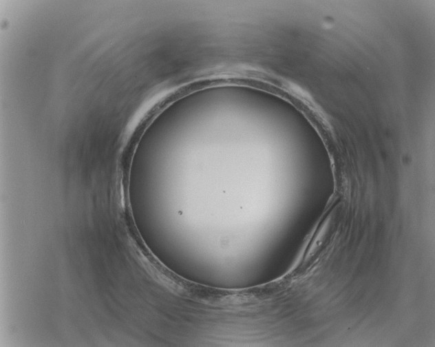 X0000078241368200611251228