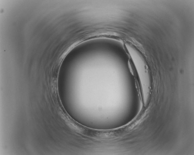 X0000078241369200611251228