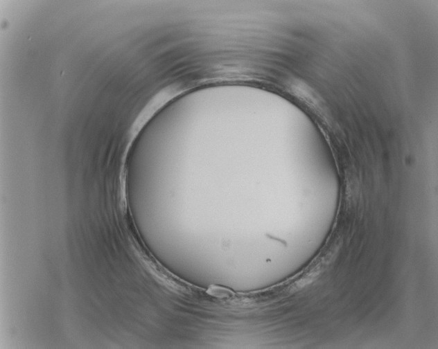 X0000078241370200611251228