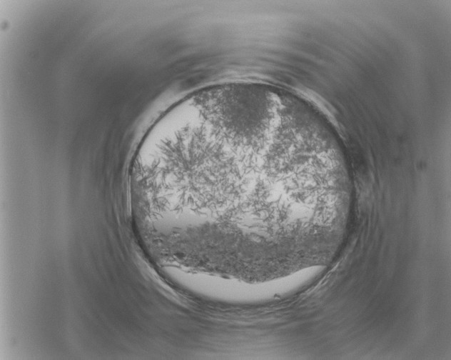 X0000078241371200611251228