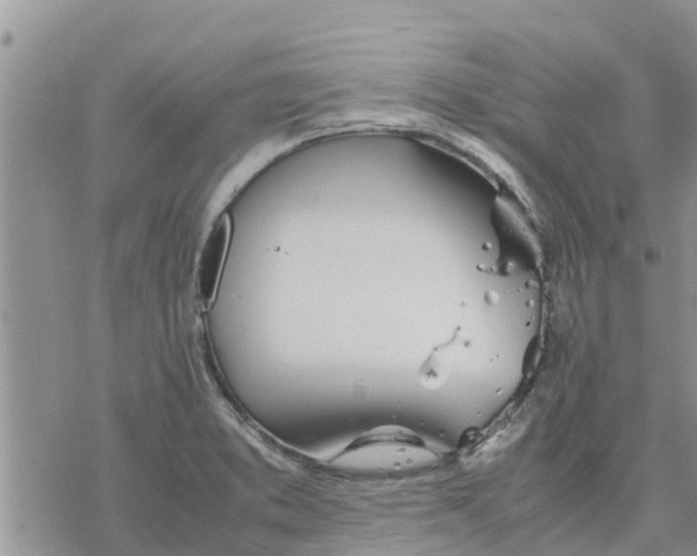 X0000078241373200611251228