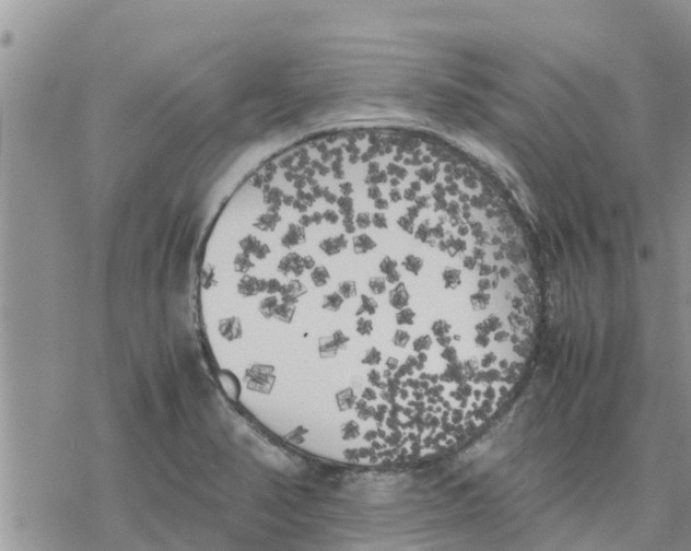 X0000078241374200611251228