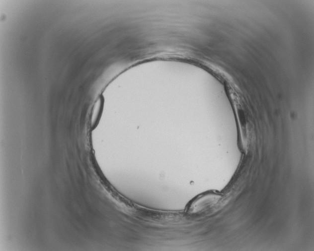 X0000078241375200611251228