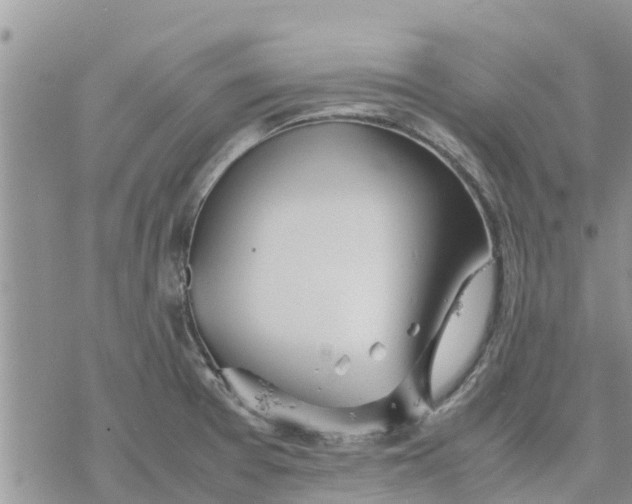 X0000078241377200611251228