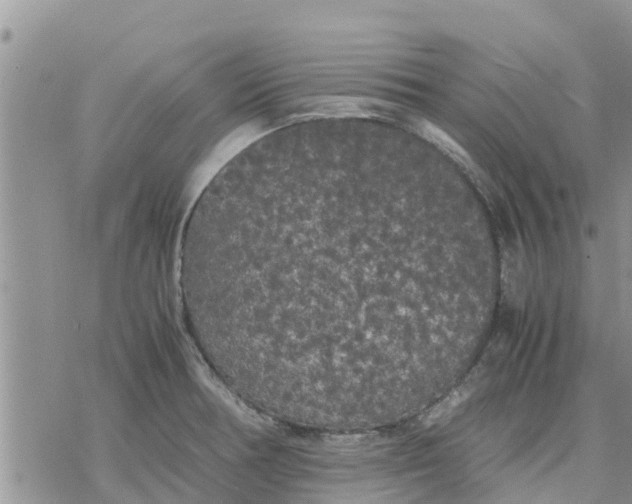 X0000078241378200611251228