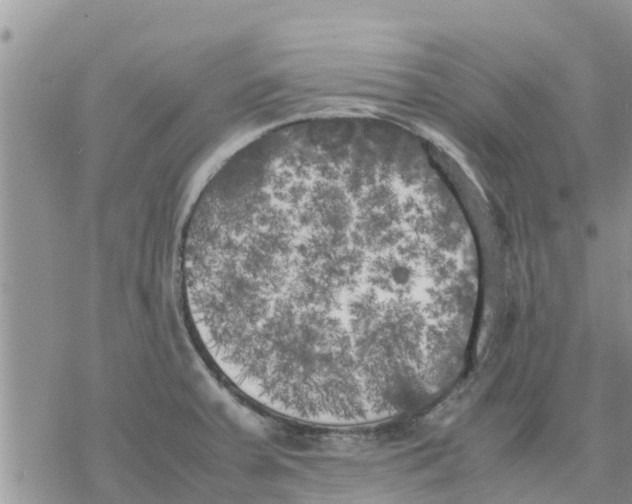 X0000078241379200611251228