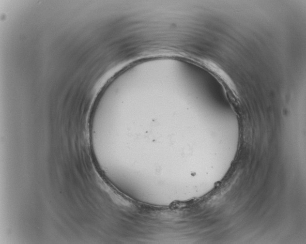 X0000078241380200611251228