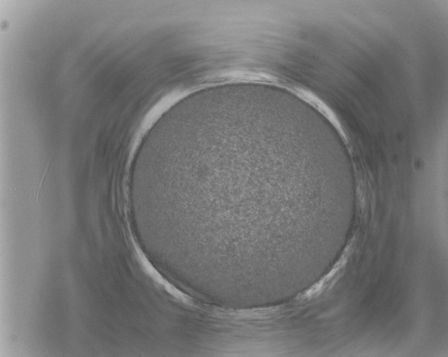 X0000078241381200611251228