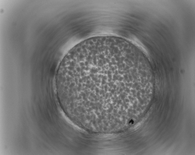 X0000078241382200611251228