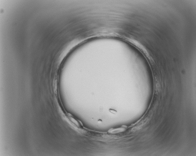 X0000078241383200611251228