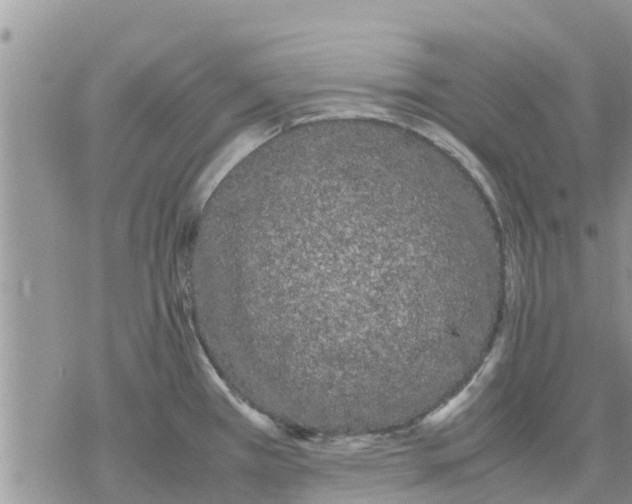 X0000078241385200611251228