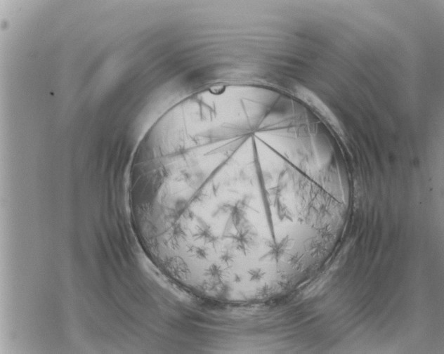 X0000078241386200611251228