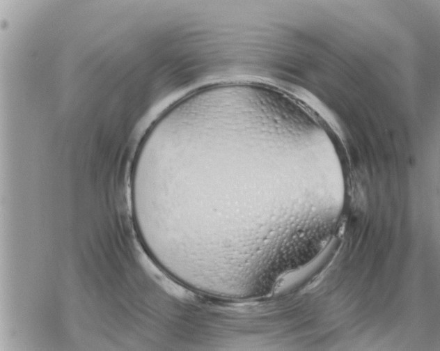 X0000078241388200611251228