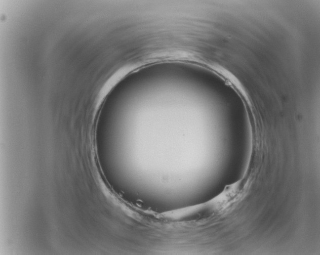 X0000078241389200611251228