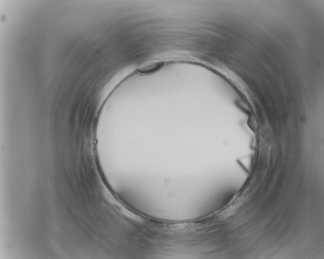 X0000078241390200611251228