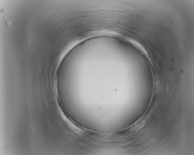 X0000078241391200611251228