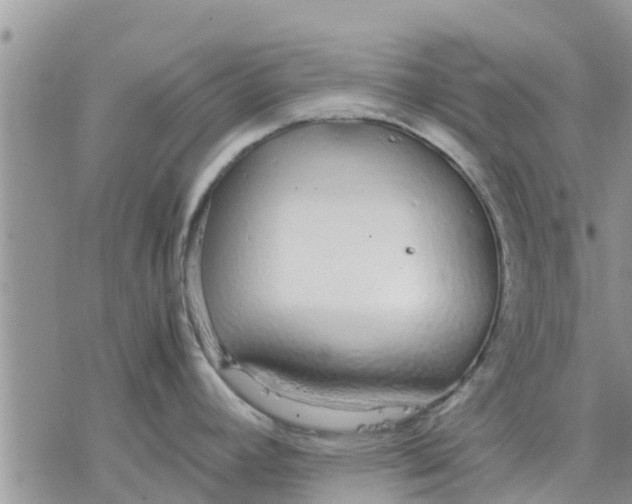 X0000078241392200611251228